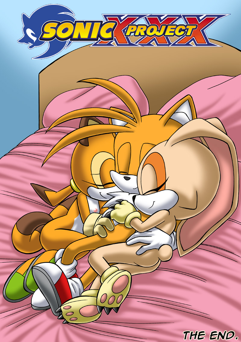 Sonic Xxx Porn - Sonic Hentai Comics image #281178