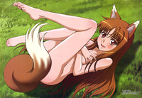 spice and wolf hentai albums brown black moe animal ears breast hold horo naked spice wolf tail users uploaded wallpapers mix size