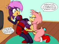 amy rose the hedgehog hentai amy rose bpq rule soni furries pictures album