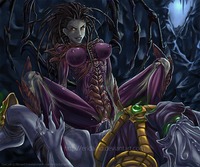 starcraft 2 hentai starcraft hentai collections pictures album page