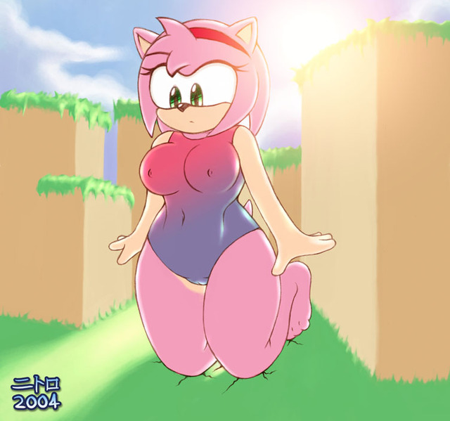 Fat Amy Rose Porn - Amy Rose Hentai Gif image #29295